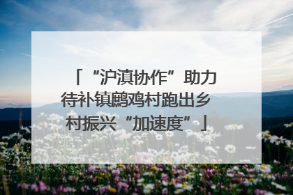 “沪滇协作”助力待补镇鹧鸡村跑出乡村振兴“加速度”